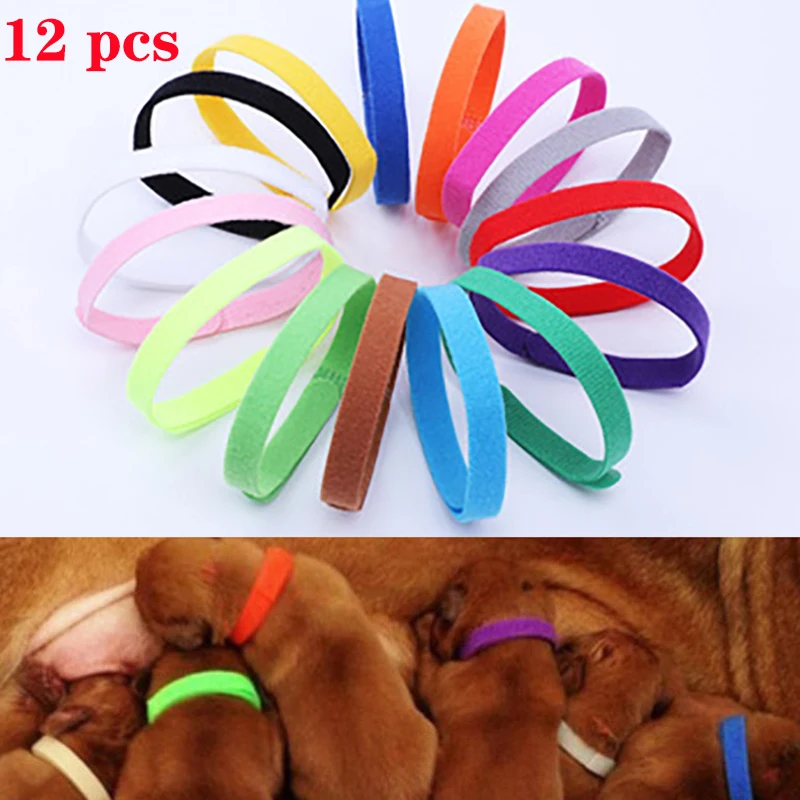 Pet Supplies Wholesale - 12 Pcs/Set Puppy Newborn Pets Identify