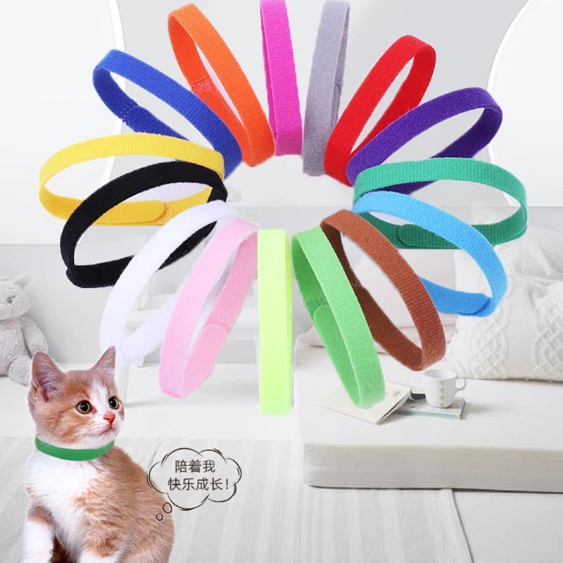 12 Pcs/Set Puppy Newborn Pets  - Pet Supplies Wholesale 리뷰 및 가격
