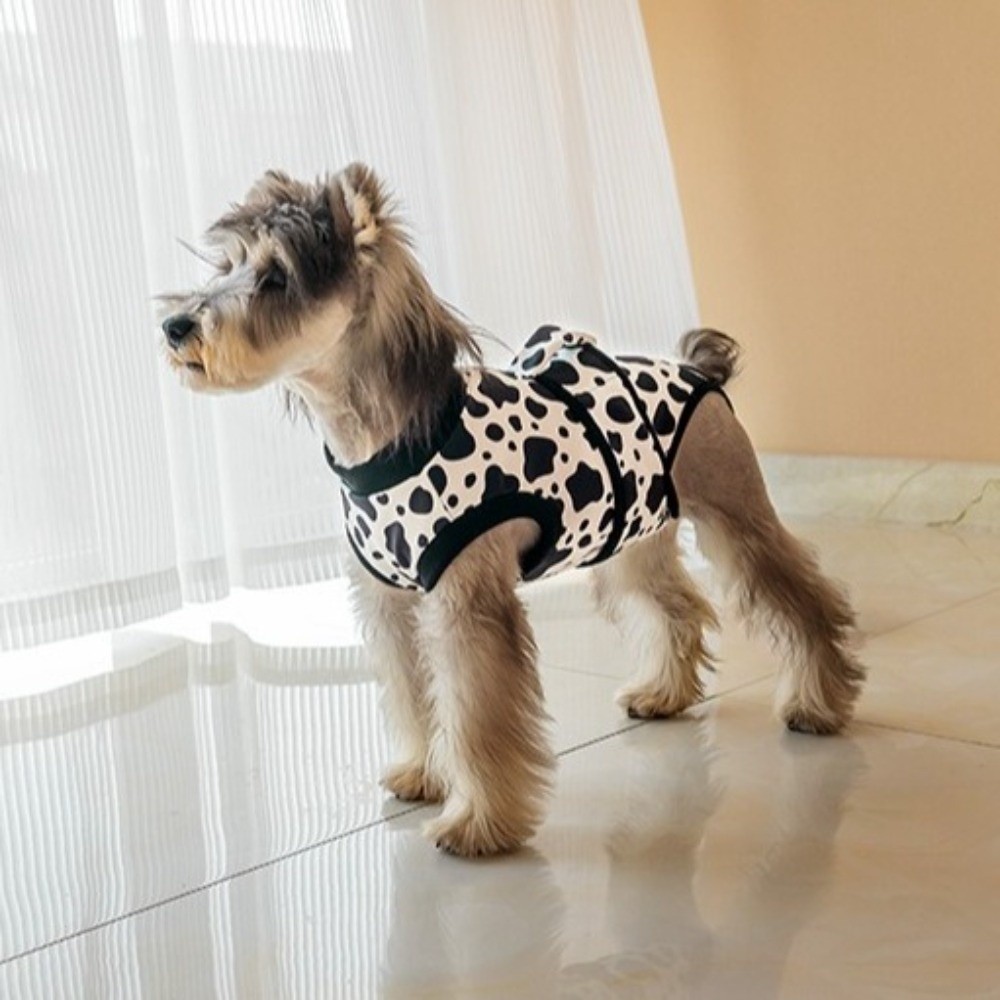 Breathable Dog Recovery Suit W - Dog Anxiety Vest 리뷰 및 가격