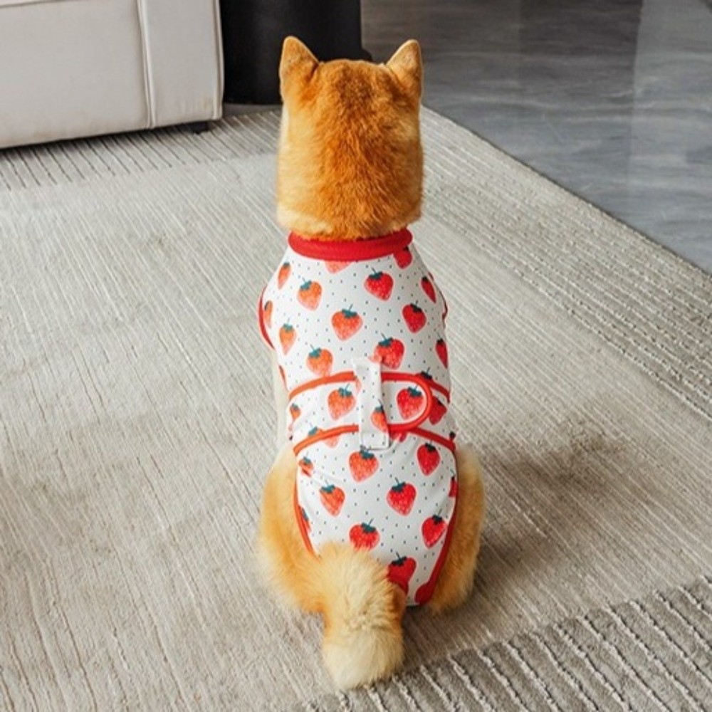 Breathable Dog Recovery Suit W - Dog Anxiety Vest 리뷰 및 가격