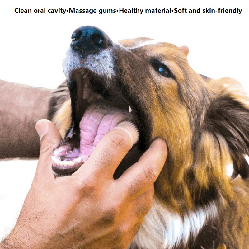 3PCS Dental Cleaning Dog Teeth - Dog Muzzle Silicone 리뷰 및 가격