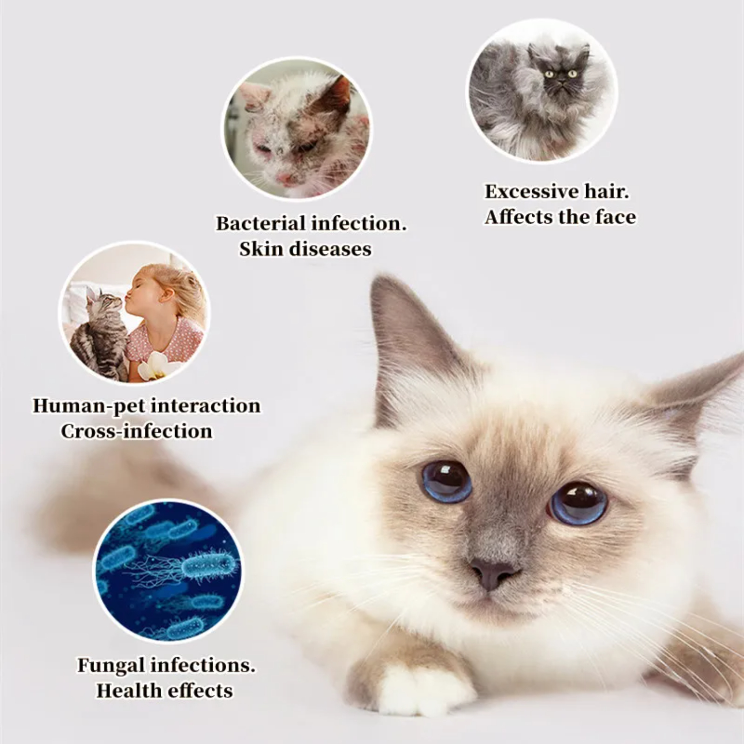 Cat Comb Dog Hair Remover Brus - Pet Supplies Grooming Hours 리뷰 및 가격