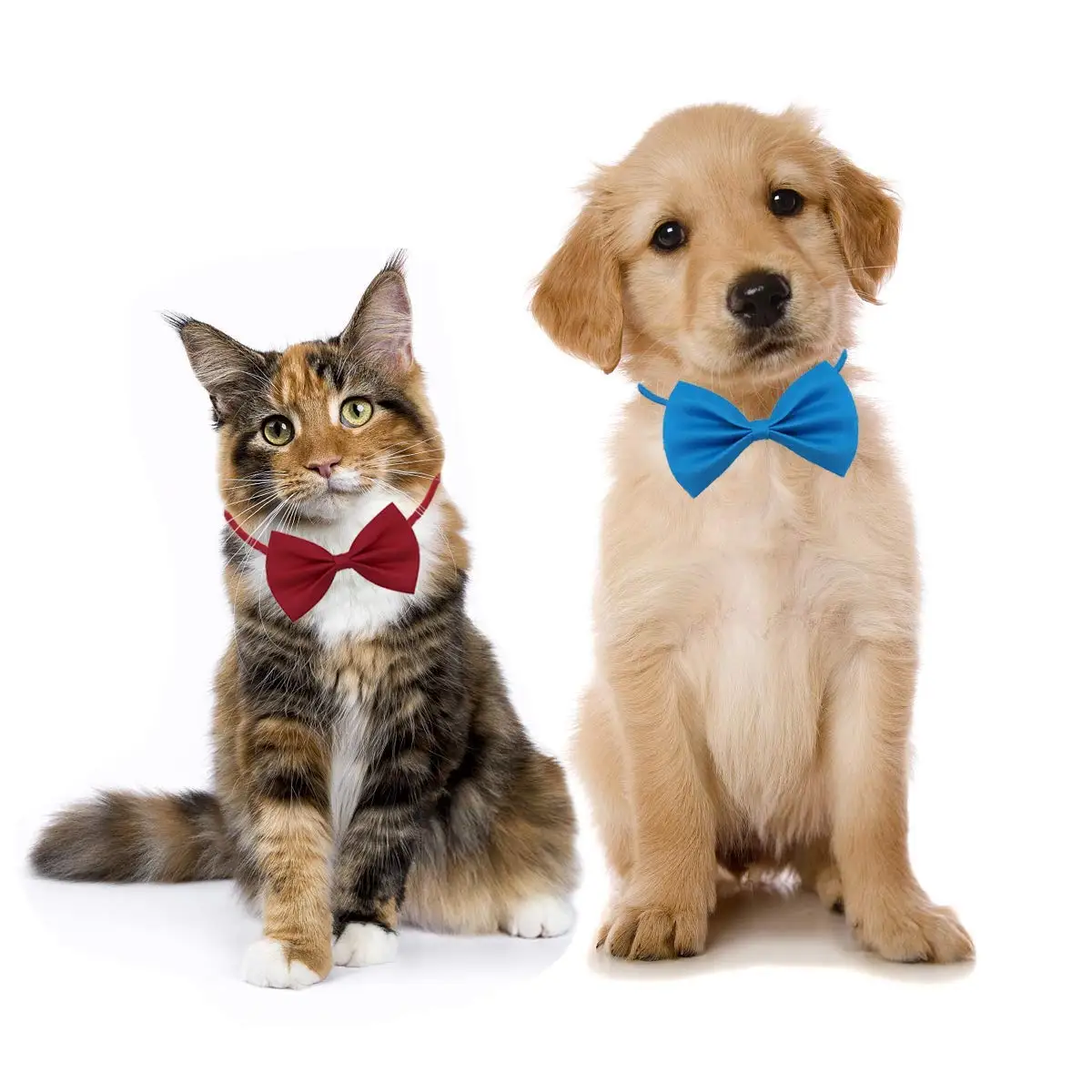 50/100pcs Dog Bows Mix Colors  - Pet Supplies Wholesale 리뷰 및 가격