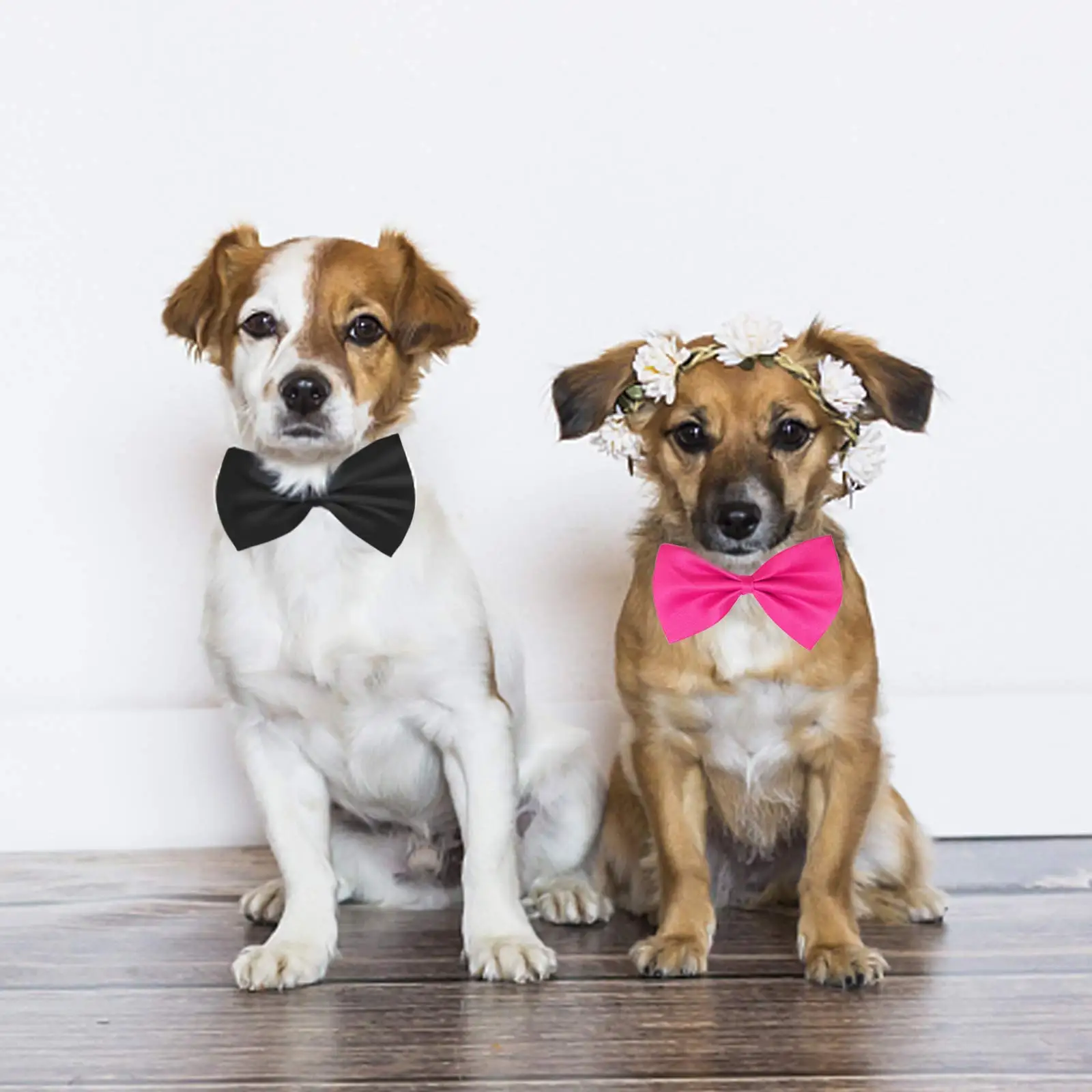 50/100pcs Dog Bows Mix Colors  - Pet Supplies Wholesale 리뷰 및 가격