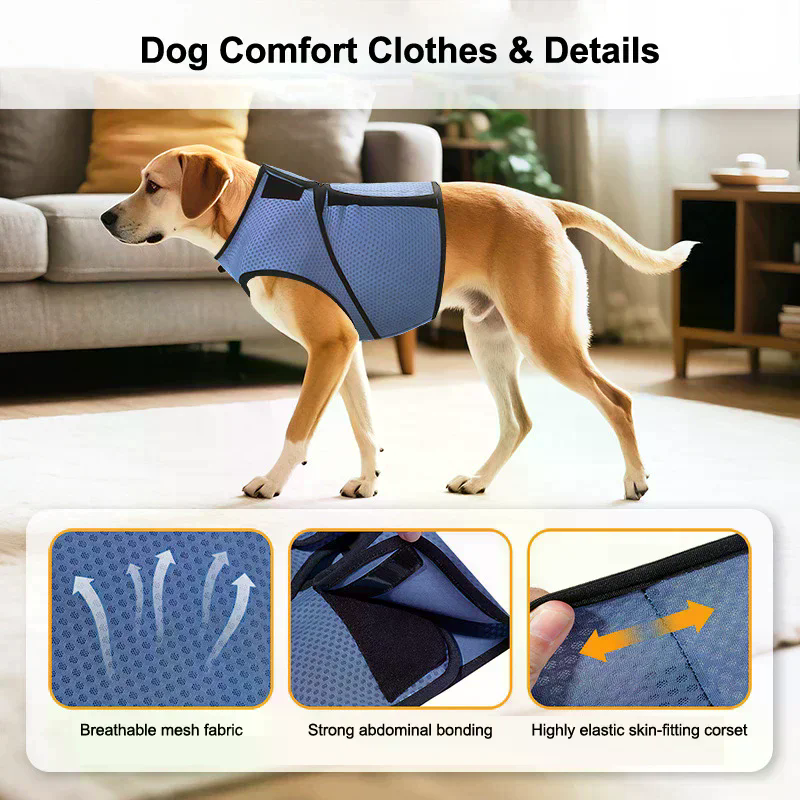 Dog Anxiety Jacket Coat For Th - Dog Anxiety Vest 리뷰 및 가격