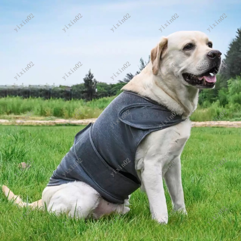 Classic Breathable Dog Anxiety - Dog Anxiety Vest 리뷰 및 가격