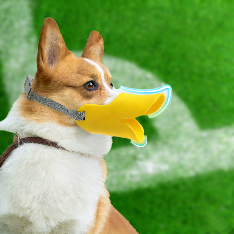 Dog Silicone Duck Muzzle Adjus - Dog Muzzle Silicone 리뷰 및 가격
