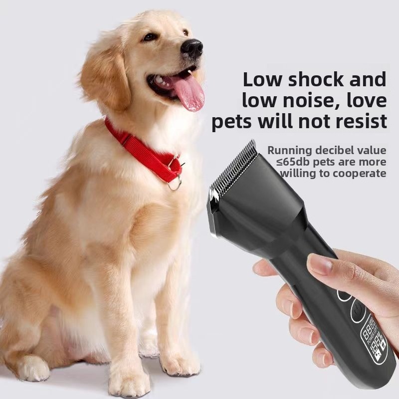 Pets Dogs Machine Cut Hair Dog - Pet Supplies Grooming Hours 리뷰 및 가격