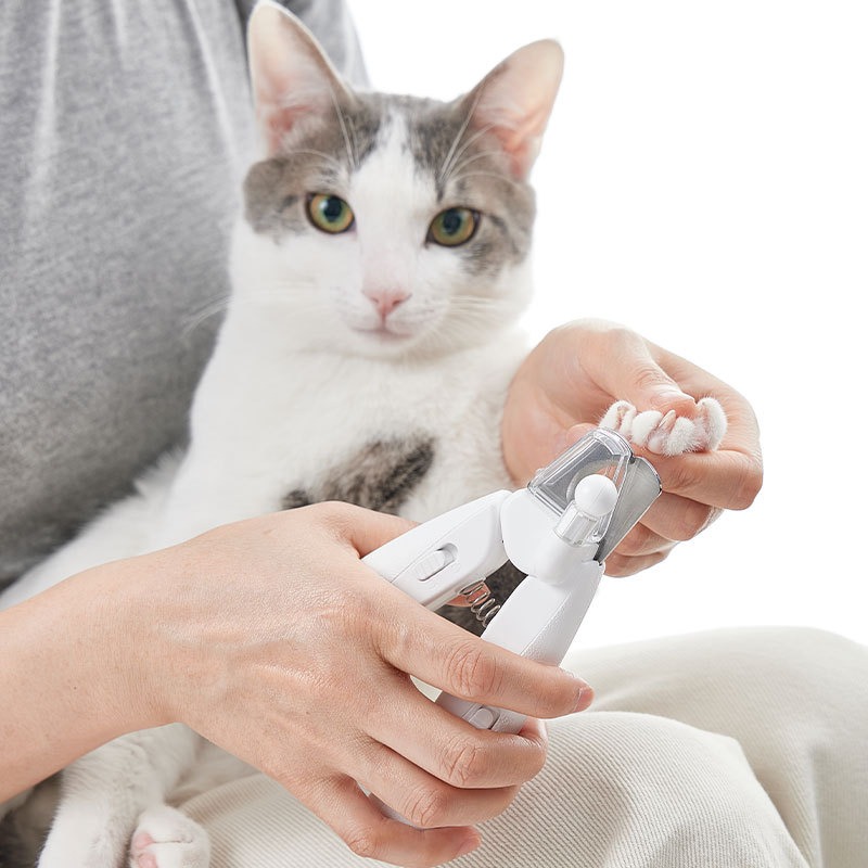 PETKIT Hair Cutting Machine Do - Pet Supplies Grooming Hours 리뷰 및 가격