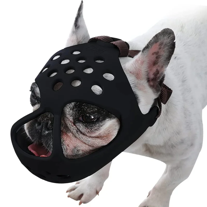 Dog Muzzle For Short Snout Dog - Dog Muzzle Silicone 리뷰 및 가격