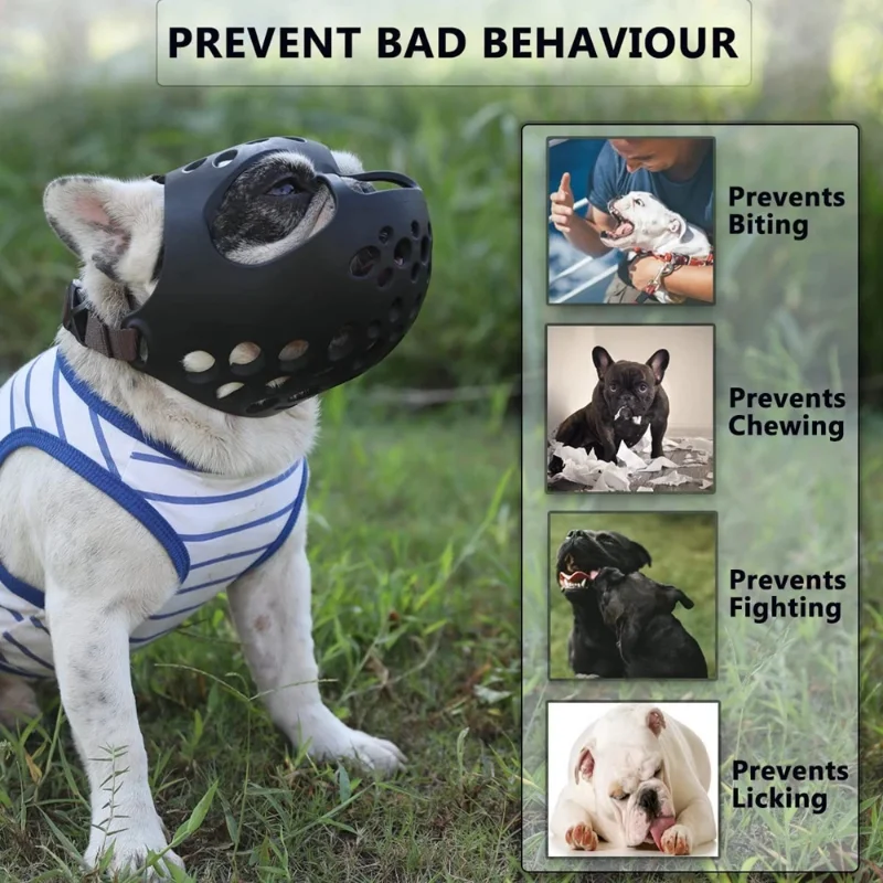 Dog Muzzle For Short Snout Dog - Dog Muzzle Silicone 리뷰 및 가격