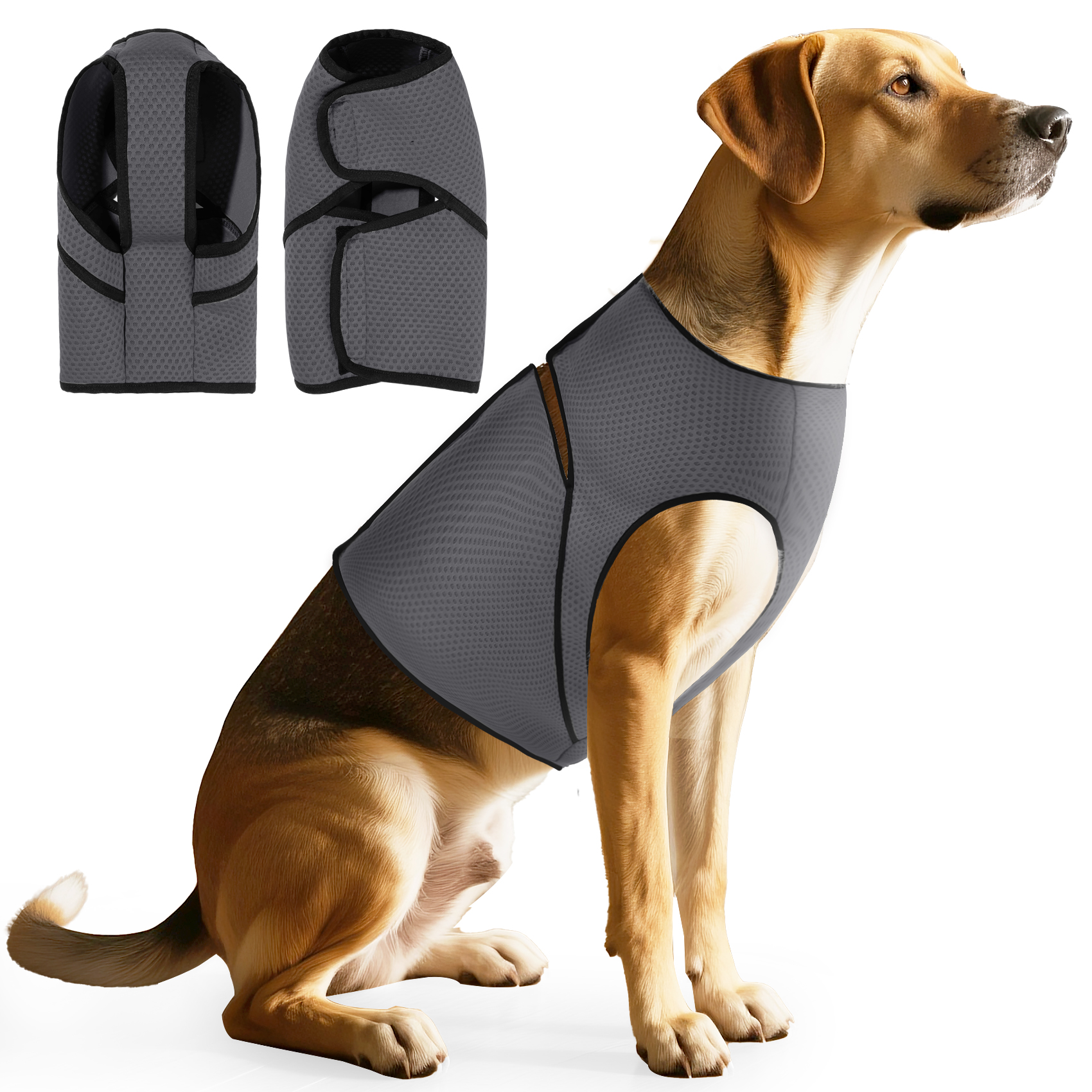 Dog Anxiety Jacket, Dog Coat f - Dog Anxiety Vest 리뷰 및 가격