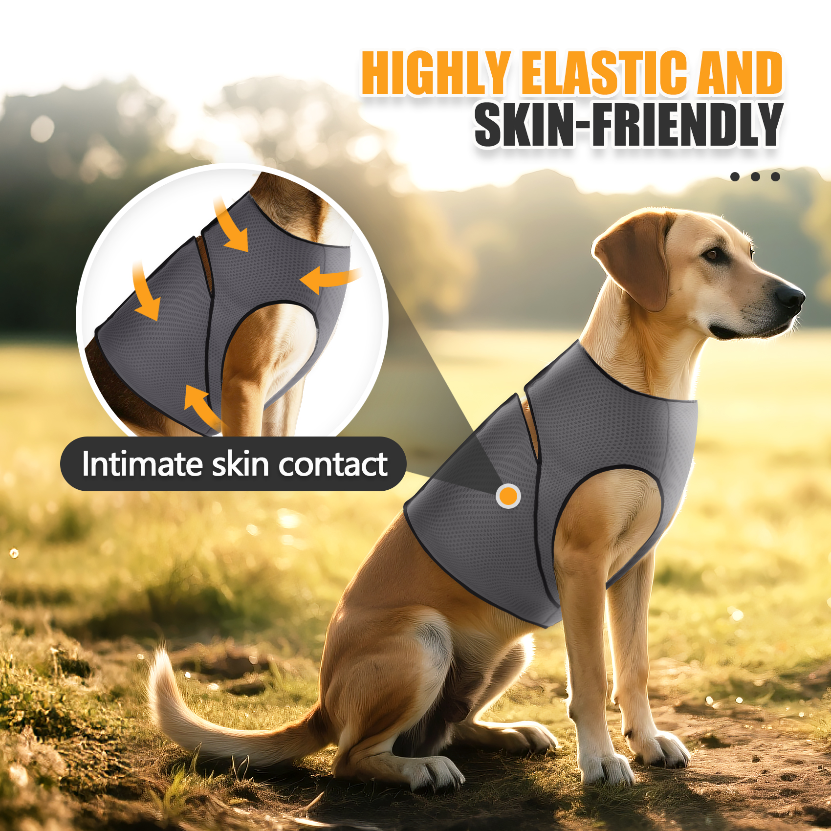 Dog Anxiety Jacket, Dog Coat f - Dog Anxiety Vest 리뷰 및 가격