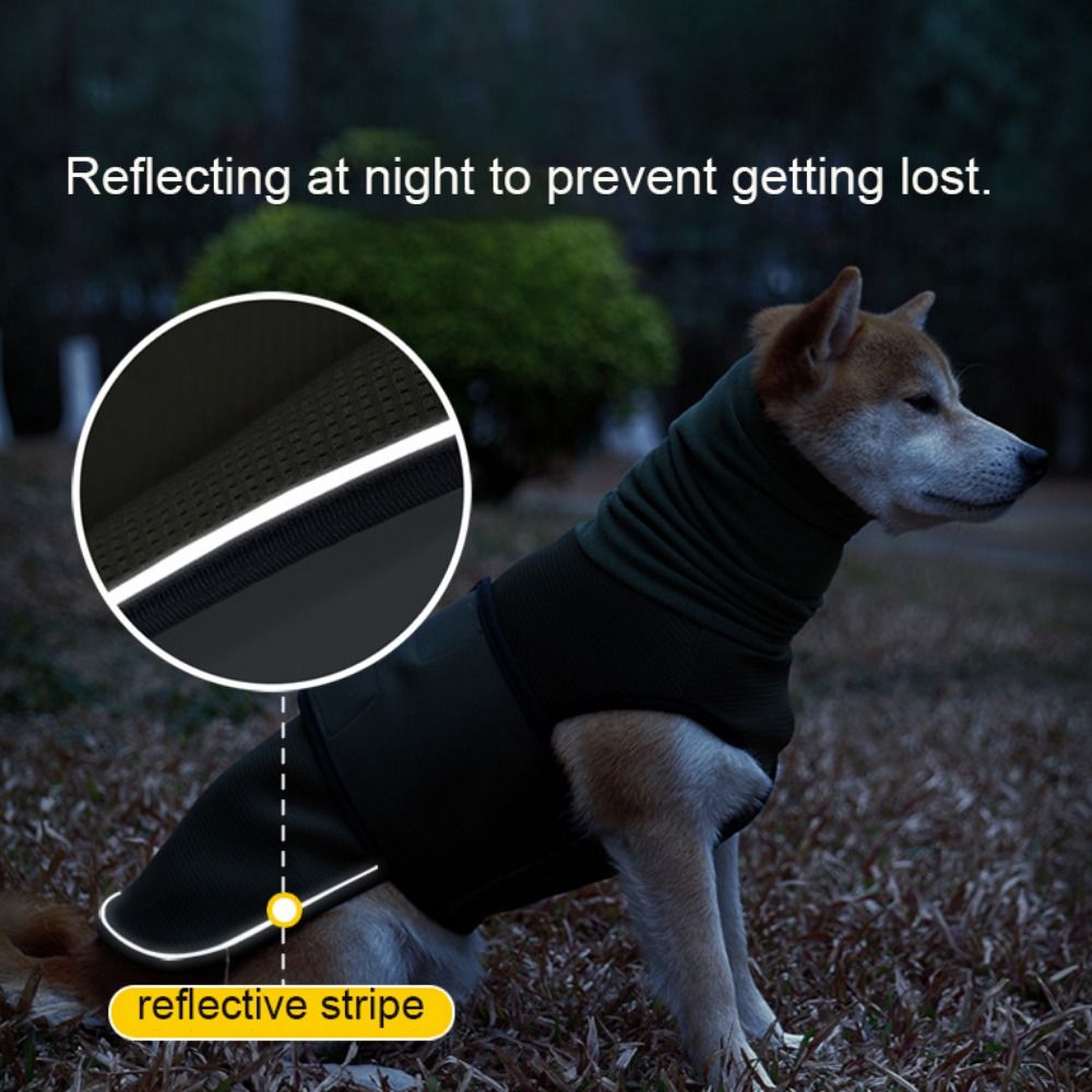 Practical Elastic Dog Anxiety  - Dog Anxiety Vest 리뷰 및 가격