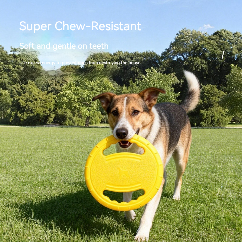 EVA Dog Flying Disc Handle Bit - Pet Supplies Wholesale 리뷰 및 가격