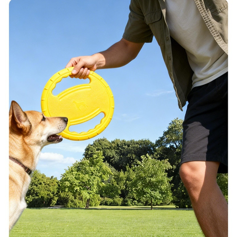 EVA Dog Flying Disc Handle Bit - Pet Supplies Wholesale 리뷰 및 가격