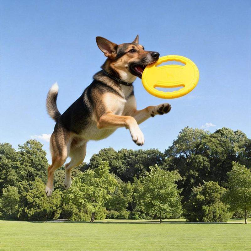 EVA Dog Flying Disc Handle Bit - Pet Supplies Wholesale 리뷰 및 가격