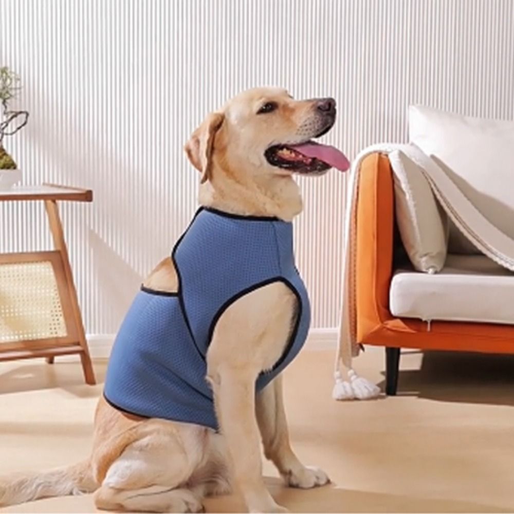 Comfort Clothing Breathable Do - Dog Anxiety Vest 리뷰 및 가격
