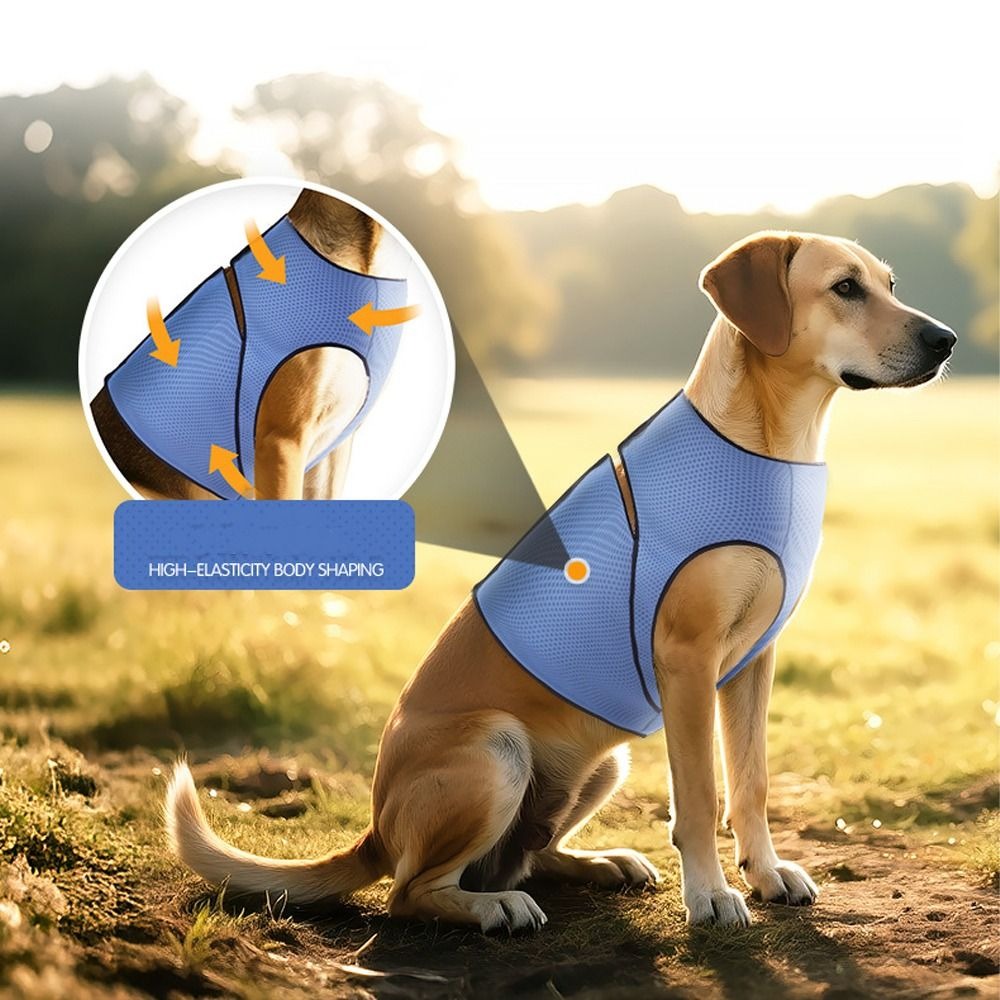Comfort Clothing Breathable Do - Dog Anxiety Vest 리뷰 및 가격