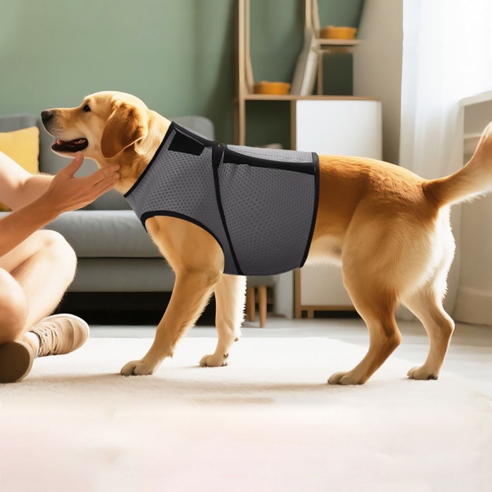 Comfort Clothing Breathable Do - Dog Anxiety Vest 리뷰 및 가격