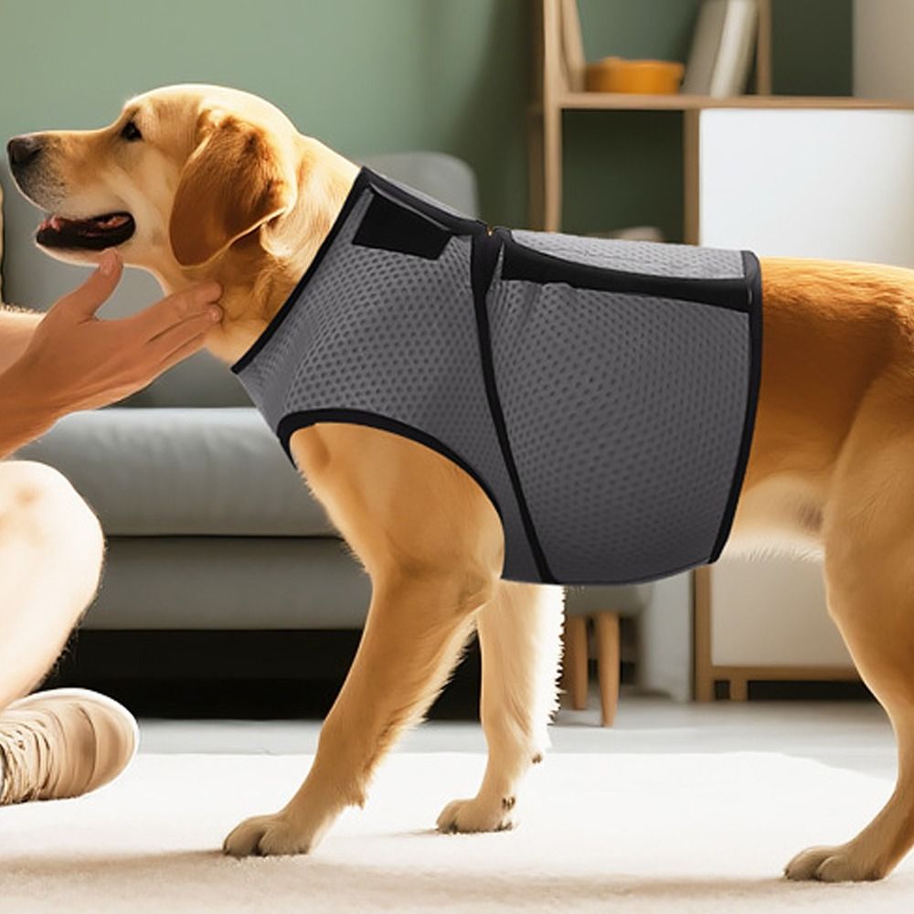 Comfort Clothing Breathable Do - Dog Anxiety Vest 리뷰 및 가격