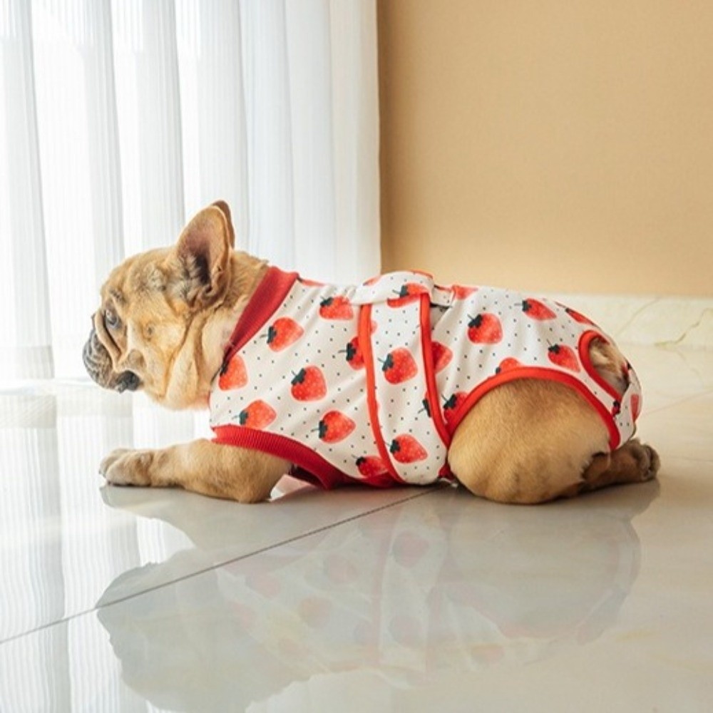 Universal Breathable Dog Recov - Dog Anxiety Vest 리뷰 및 가격