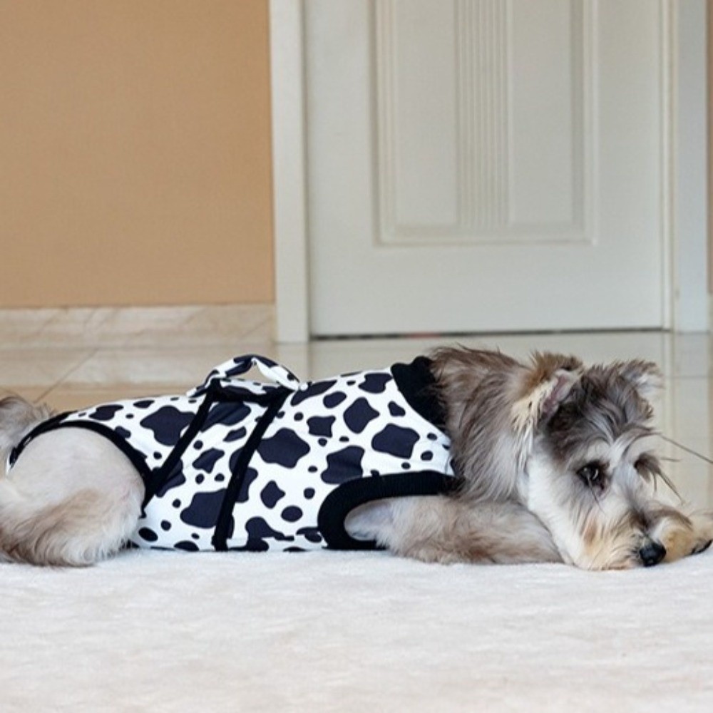 Universal Breathable Dog Recov - Dog Anxiety Vest 리뷰 및 가격