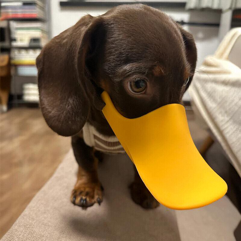 Dog Silicone Duck Muzzle For W - Dog Muzzle Silicone 리뷰 및 가격