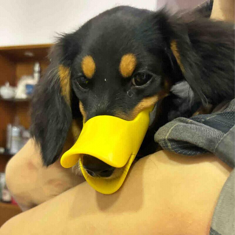 Dog Silicone Duck Muzzle For W - Dog Muzzle Silicone 리뷰 및 가격