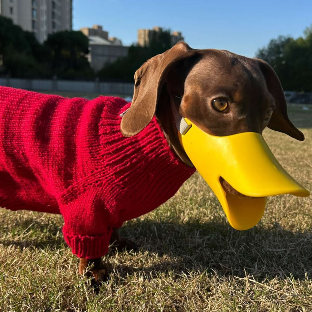 Dog Silicone Duck Muzzle For W - Dog Muzzle Silicone 리뷰 및 가격