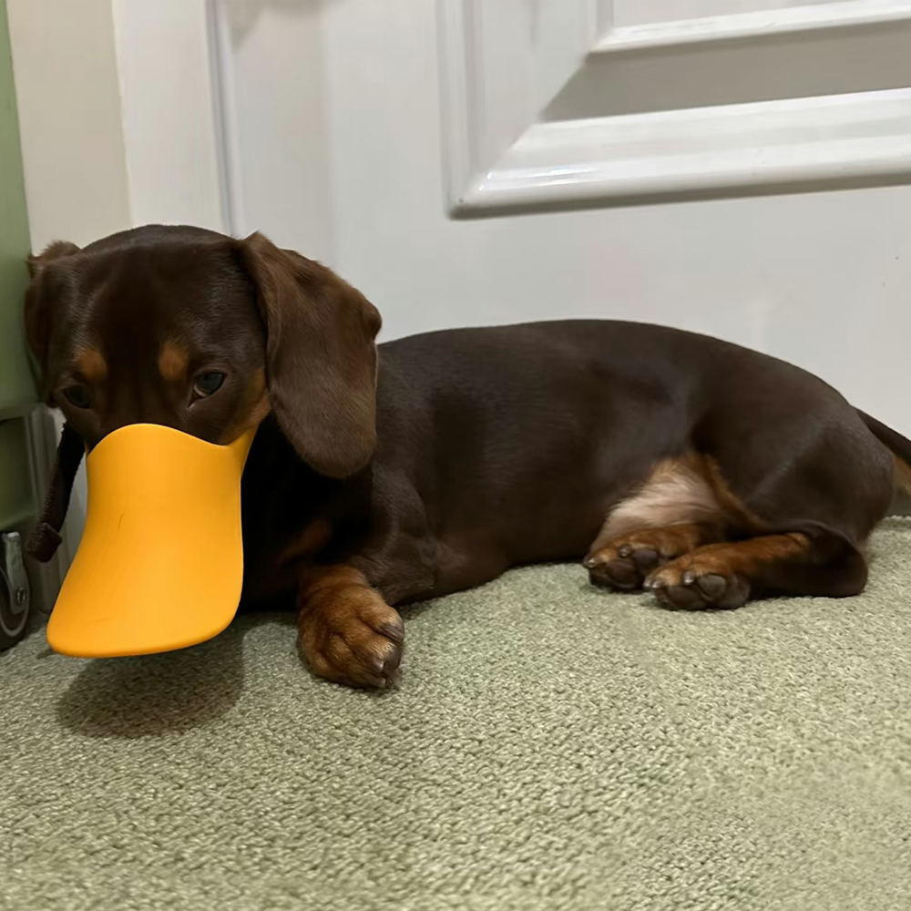 Dog Silicone Duck Muzzle For W - Dog Muzzle Silicone 리뷰 및 가격