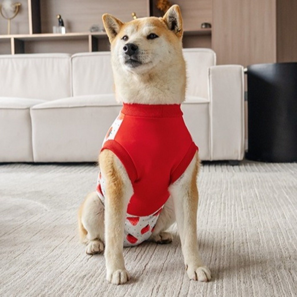 Breathable Dog Recovery Suit H - Dog Anxiety Vest 리뷰 및 가격