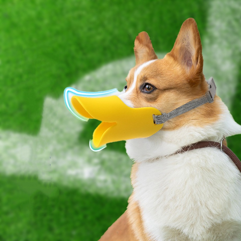 Adjustable Dog Silicone Duck M - Dog Muzzle Silicone 리뷰 및 가격