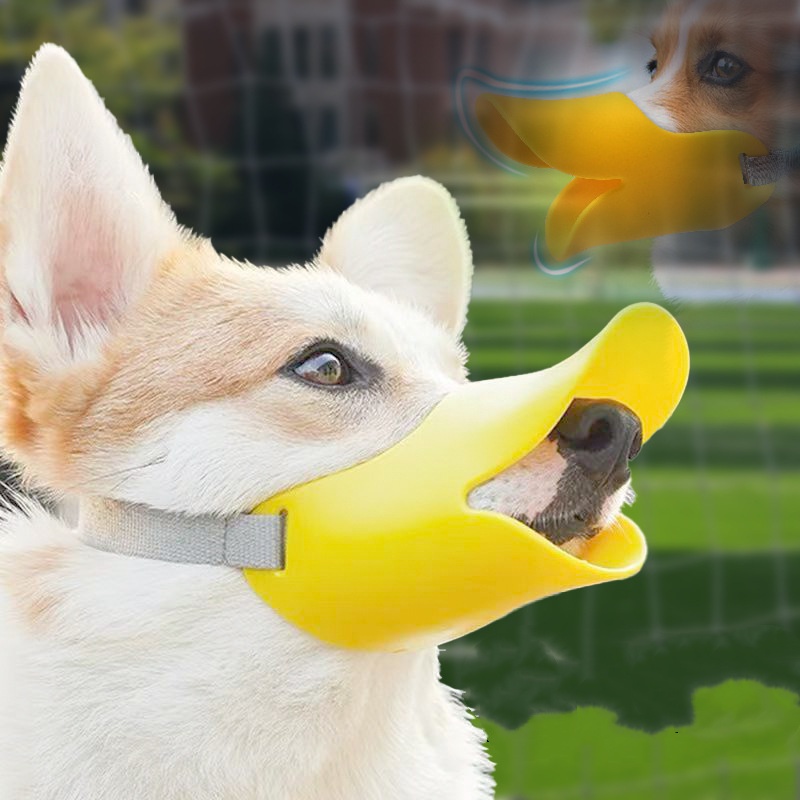 Adjustable Dog Silicone Duck M - Dog Muzzle Silicone 리뷰 및 가격