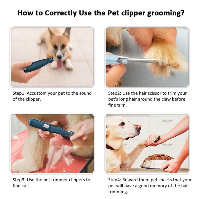Pet Grooming Kit Dog Cat Paw H - Pet Supplies Grooming Hours 리뷰 및 가격