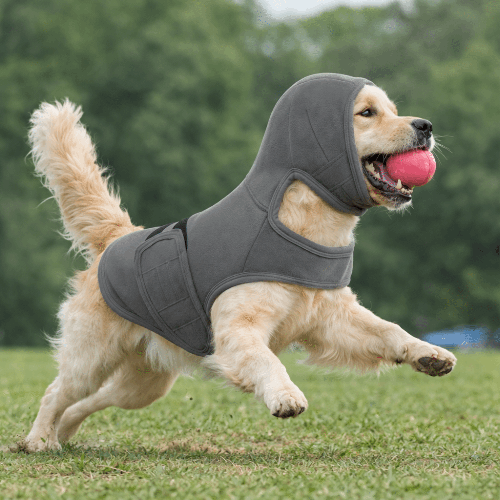 Elastic Dog Anti-Anxiety Vest  - Dog Anxiety Vest 리뷰 및 가격