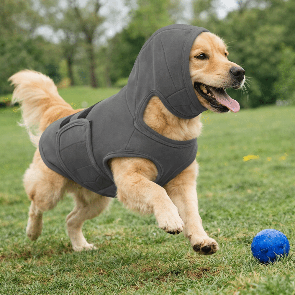 Elastic Dog Anti-Anxiety Vest  - Dog Anxiety Vest 리뷰 및 가격