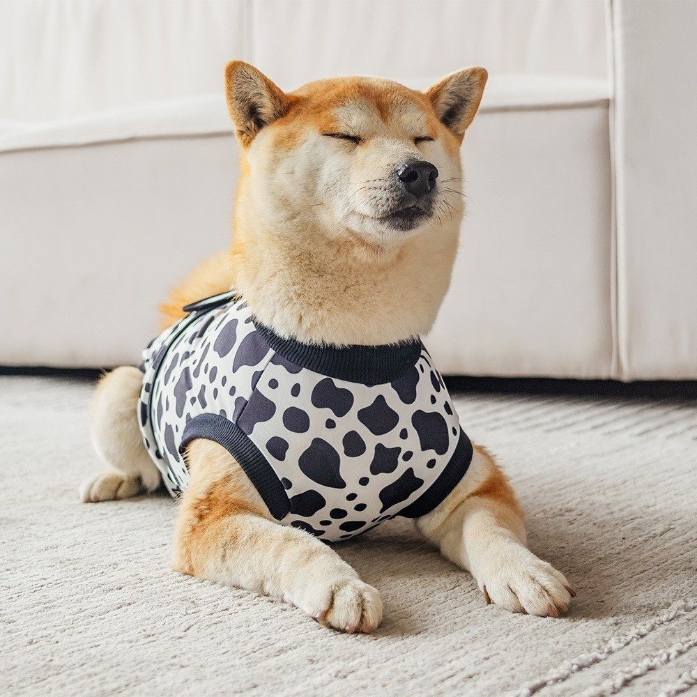 Breathable Dog Recovery Suit H - Dog Anxiety Vest 리뷰 및 가격