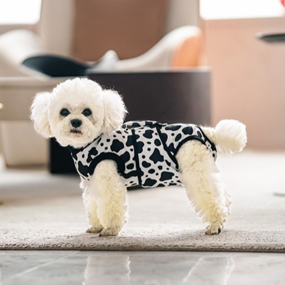 Breathable Dog Recovery Suit H - Dog Anxiety Vest 리뷰 및 가격