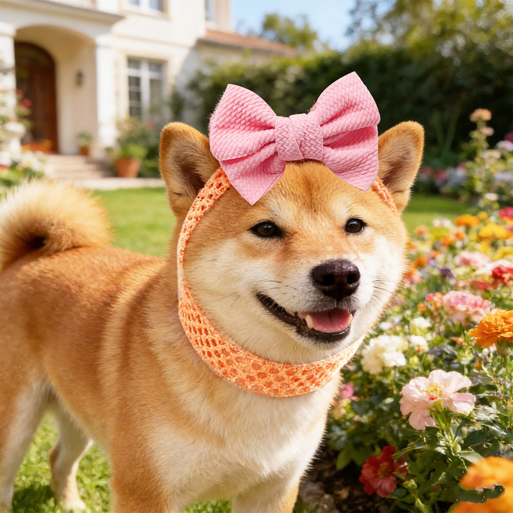 50PCS Dog Bows Elastic Bands C - Pet Supplies Wholesale 리뷰 및 가격