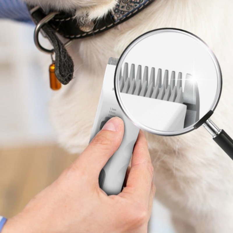 Electric Pet Clippers Cat Dog  - Pet Supplies Grooming Hours 리뷰 및 가격