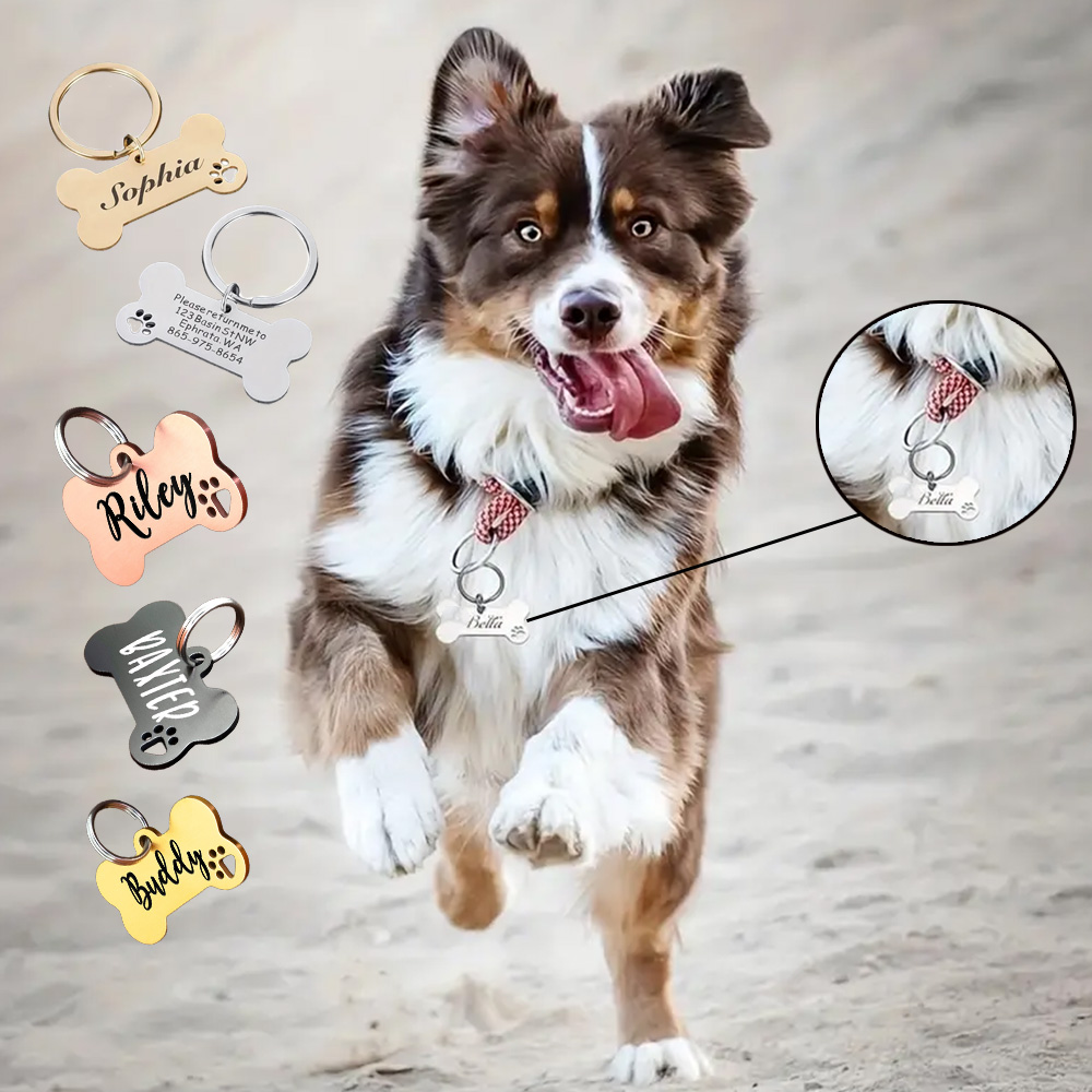 Custom Stainless Steel Pet ID  - Pet Supplies Wholesale 리뷰 및 가격