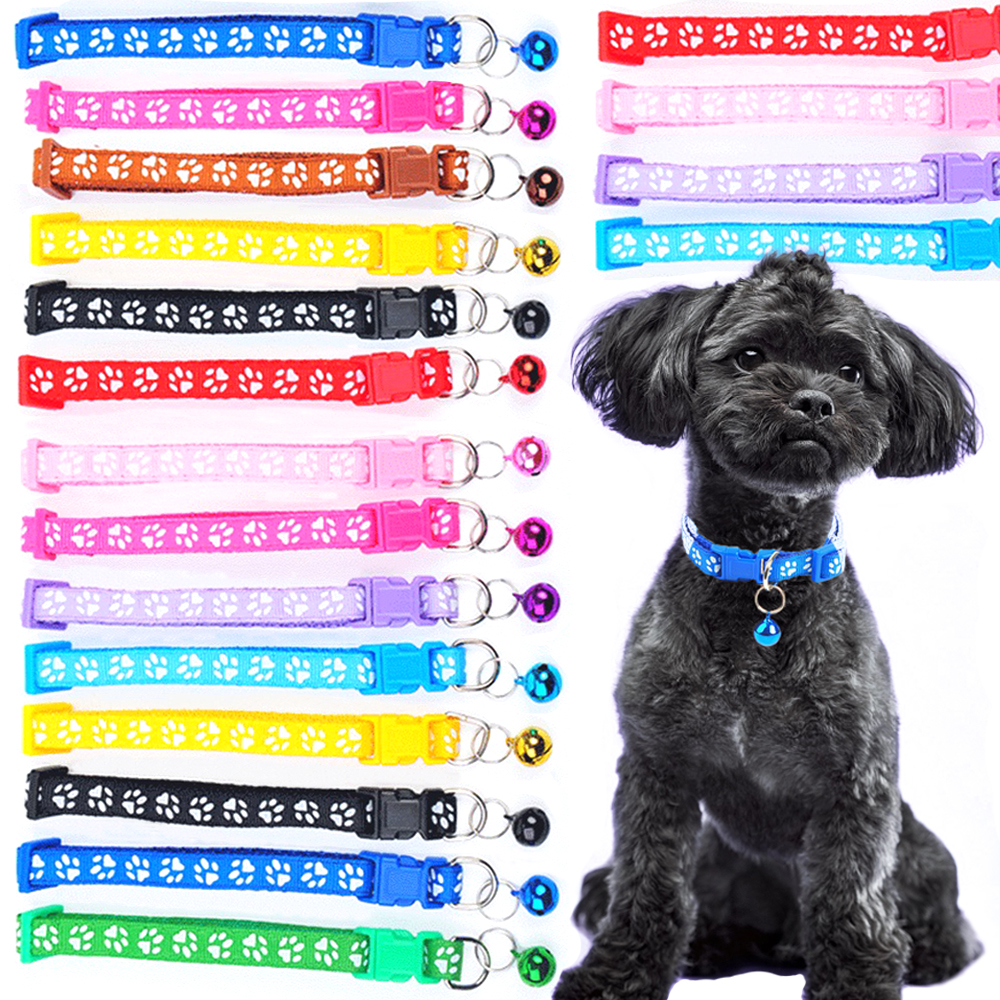 Colorful Pet Pattern Small Dog - Pet Supplies Wholesale 리뷰 및 가격
