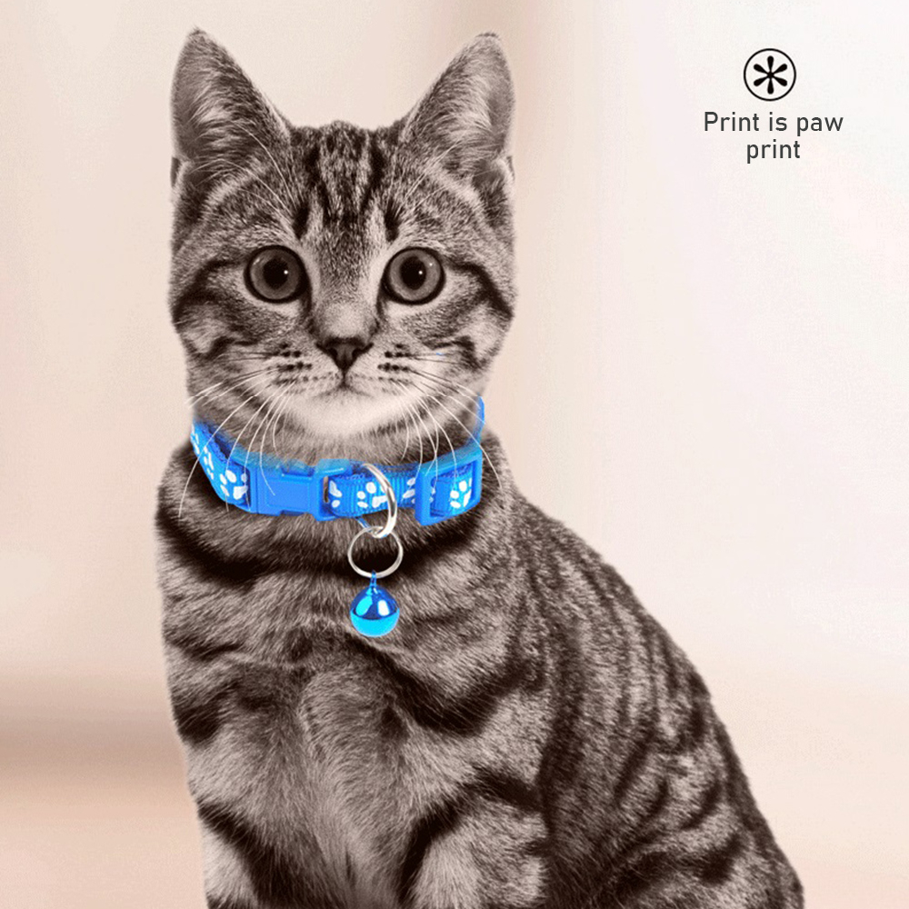 Colorful Pet Pattern Small Dog - Pet Supplies Wholesale 리뷰 및 가격