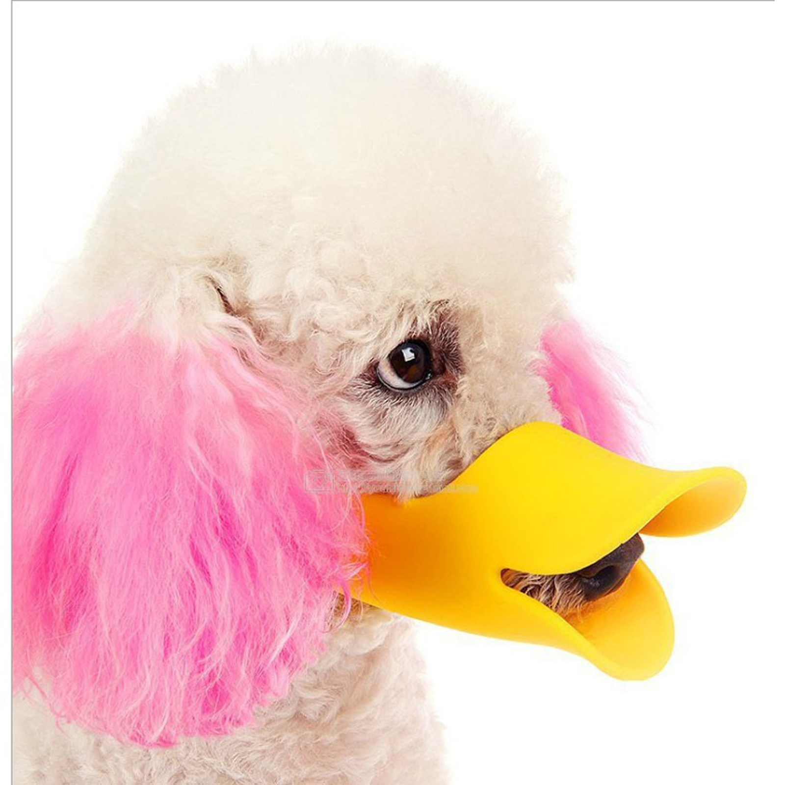 1Pc S M L colorful Dog Silicon - Dog Muzzle Silicone 리뷰 및 가격