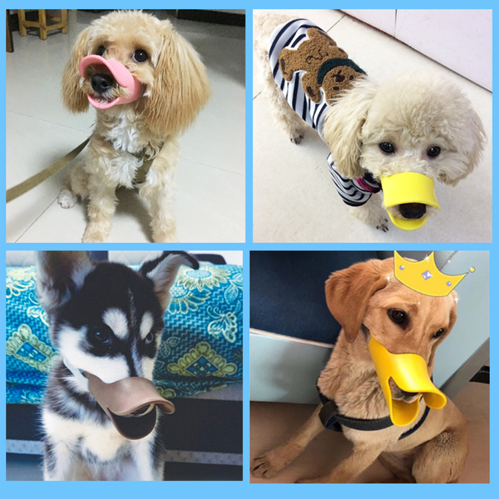 1Pc S M L colorful Dog Silicon - Dog Muzzle Silicone 리뷰 및 가격