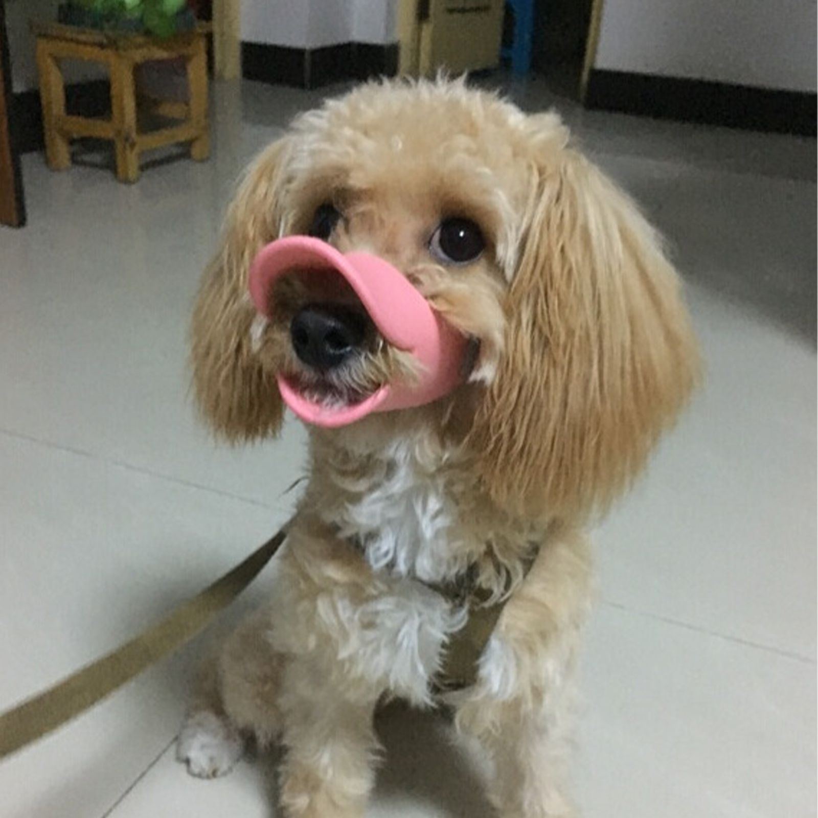 1Pc S M L colorful Dog Silicon - Dog Muzzle Silicone 리뷰 및 가격