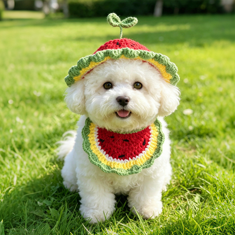 Kitty Neck Bibs Hats Set Pet O - Pet Supplies Wholesale 리뷰 및 가격