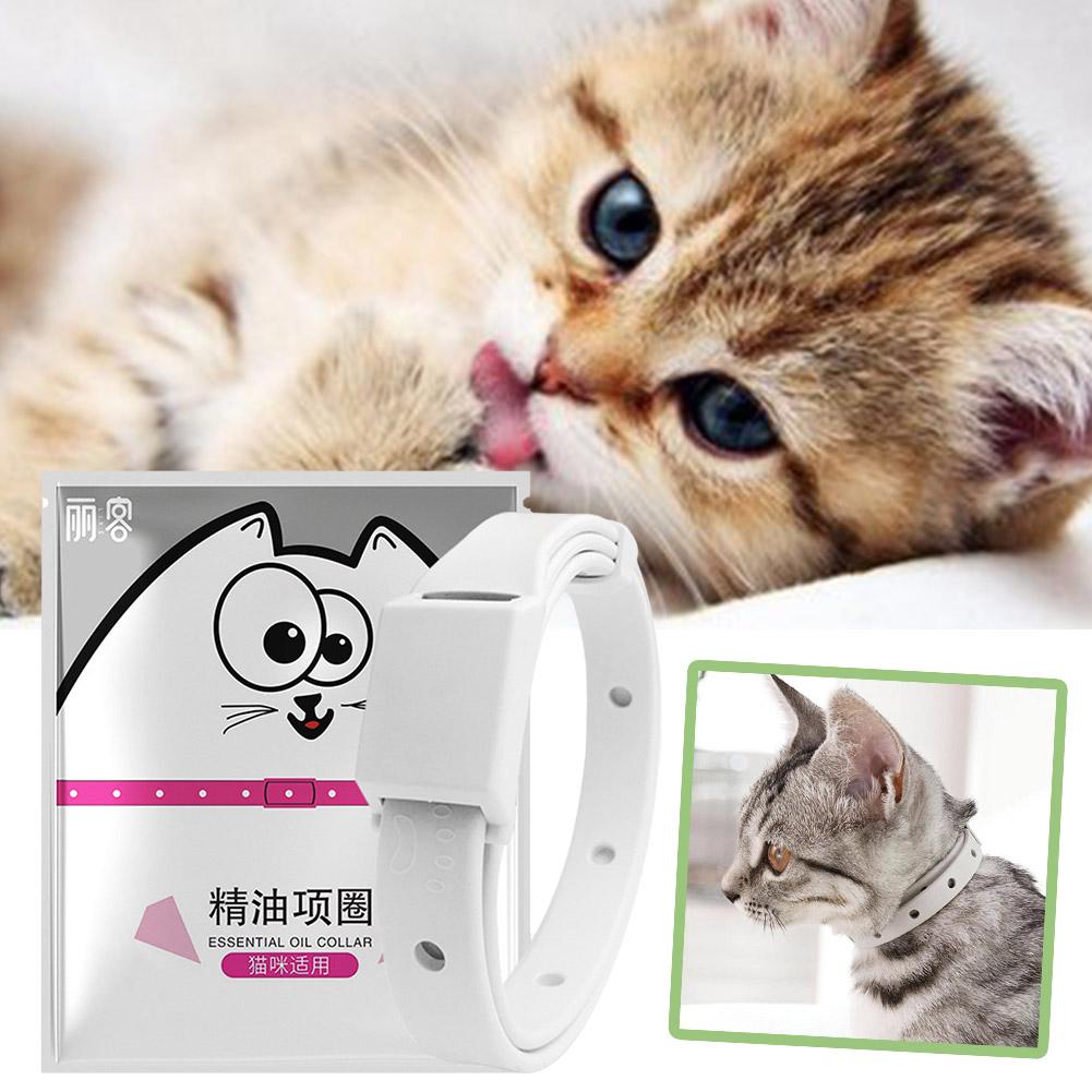 Retractable Pet Products Flea  - Dog Muzzle Silicone 리뷰 및 가격