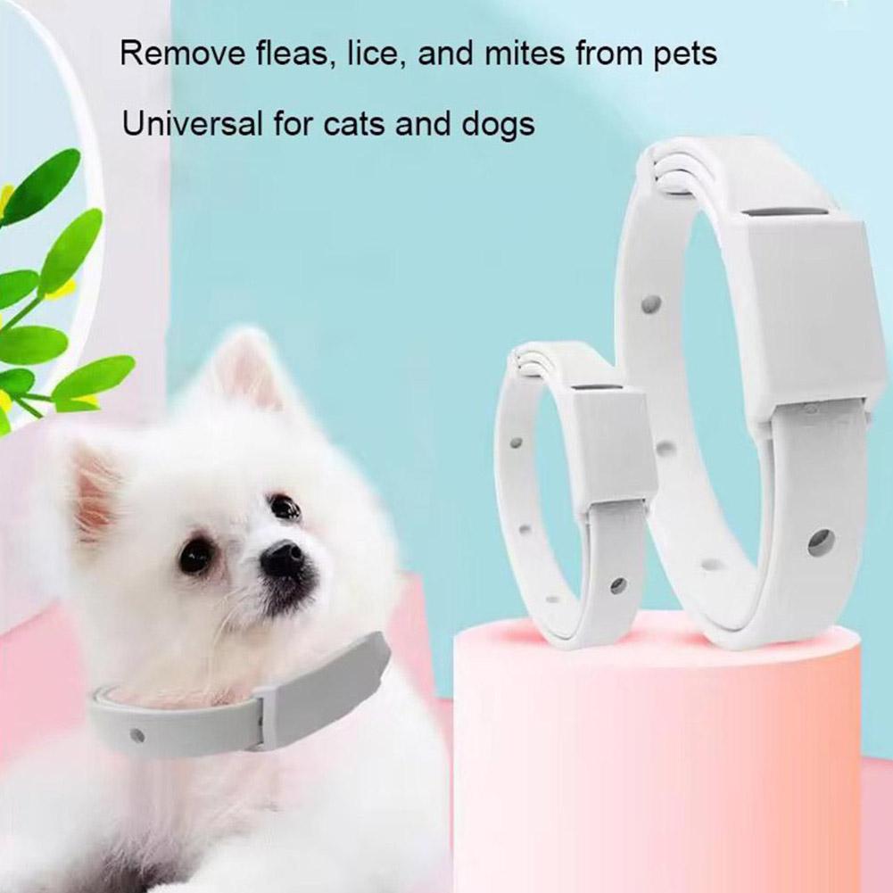 Retractable Pet Products Flea  - Dog Muzzle Silicone 리뷰 및 가격